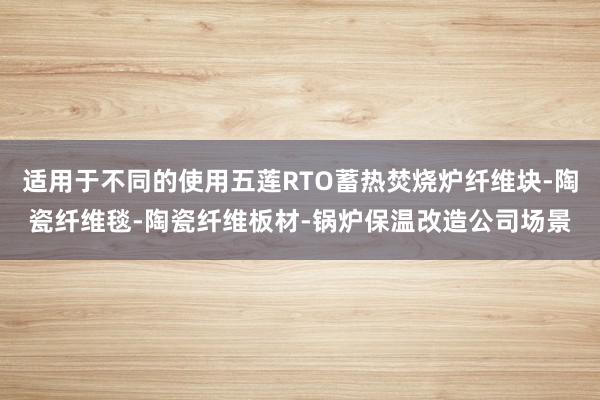 适用于不同的使用五莲RTO蓄热焚烧炉纤维块-陶瓷纤维毯-陶瓷纤维板材-锅炉保温改造公司场景