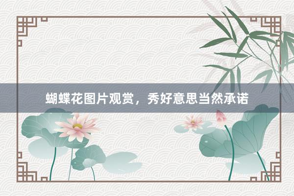 蝴蝶花图片观赏，秀好意思当然承诺