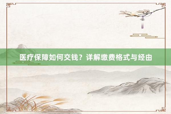 医疗保障如何交钱？详解缴费格式与经由