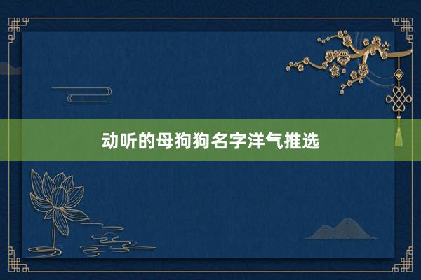 动听的母狗狗名字洋气推选